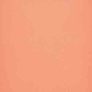 Линолеум FORBO Eternal Colour 40242 pink coral фото ##numphoto## | FLOORDEALER